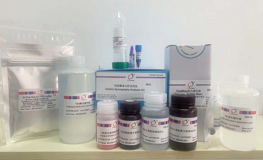 明膠酶譜分析試劑盒
